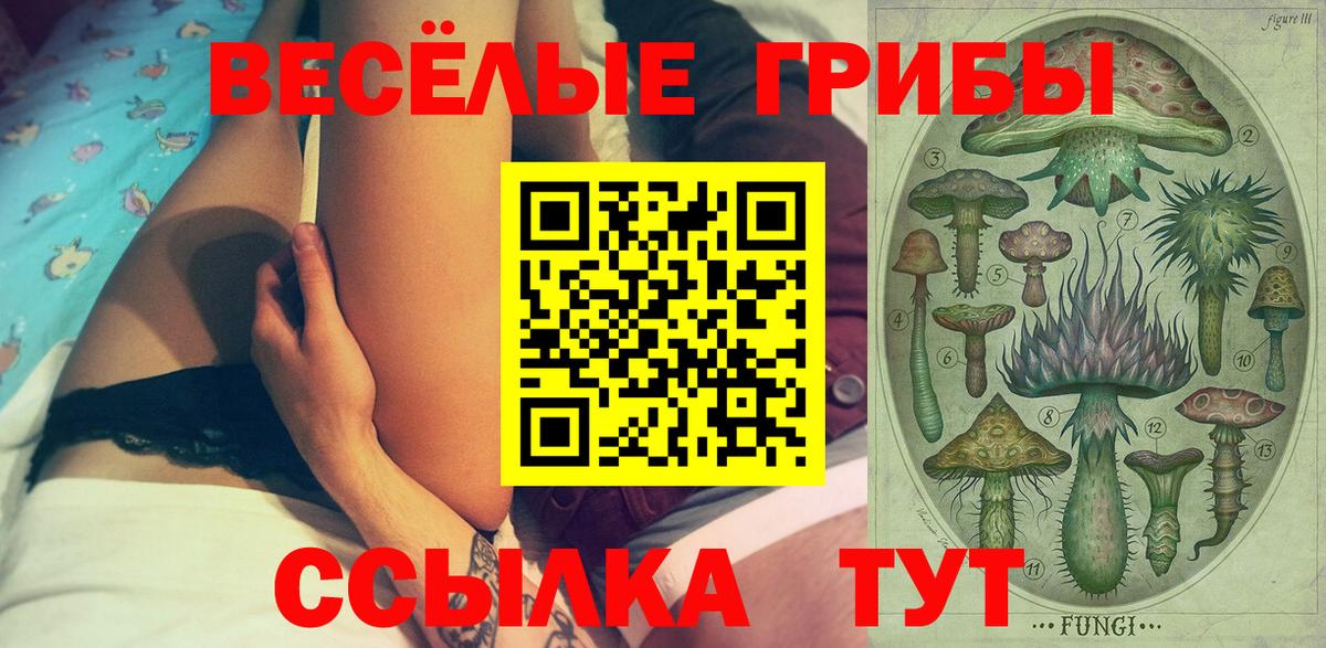 Галлюциногенные грибы мицелий  купить наркотик  Усть-Джегута  Вход с VPN 